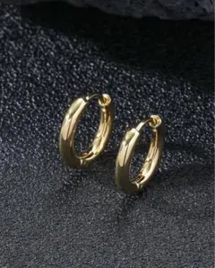 リングピアス ピアス(両耳用)