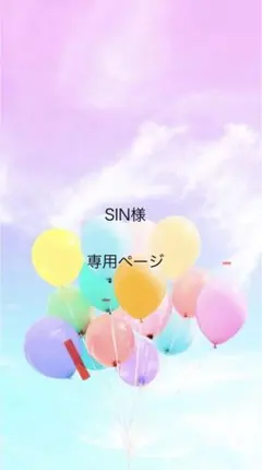 SIN様専用ページ
