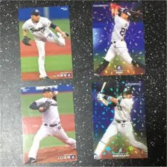 プロ野球カード プロ野球チップスカード 2020 ヤクルトスワローズ