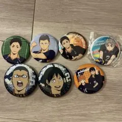 ハイキュー!! 烏野高校メンバー 缶バッジ