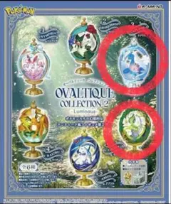 OVALTIQUE COLLECTION 2 ラプラス セレビィセット