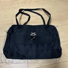 Item thumbnail for item 5783fd7b-0c8c-4670-8812-f412a35b656c