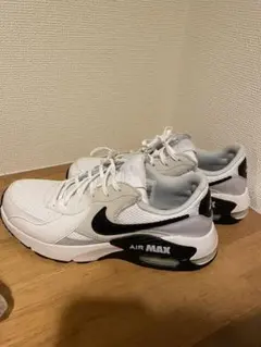 NIKE AIR MAX EXCEE FZ5486-102 27.0㎝ 未使用 - メルカリ