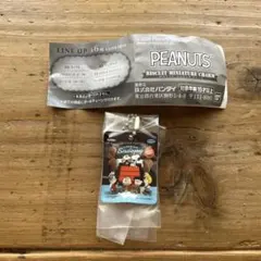 PEANUTS ビスケットミニチュアチャーム スヌーピー