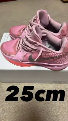 Item thumbnail for item 9d2858ff-e3fb-442d-9986-9bb6e7b6bec0