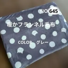 Item thumbnail for item 09e67007-1597-4e93-8c49-1b420f1ad511