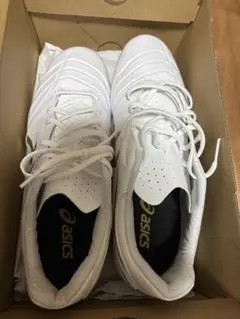 [アシックス]サッカースパイク DS LIGHT CLUB+ 27.0 cm 白