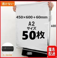 LDPE宅配袋 宅配ビニール袋 強力テープ付き 透けない 梱包資材 A2 a2