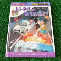 Item thumbnail for item 0b4c0c2d-c6c8-4452-96b2-b7c833c340a9