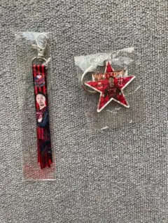 北海道コンサドーレ札幌荒野拓馬キーホルダー・ボンフィンセット