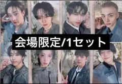 straykids スキズ　会場限定特典　5/18 8種コンプ　1セット