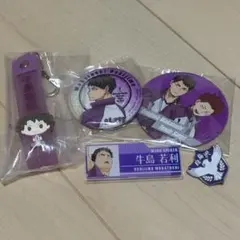 ハイキュー!! 牛島若利 5点セット