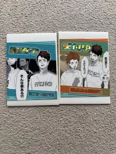 ハイキュー 日向翔陽 及川徹 アテンションステッカーコレクション