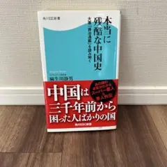 정말 잔인한 중국사 아소카와 시즈오 카도카와 SSC 신서