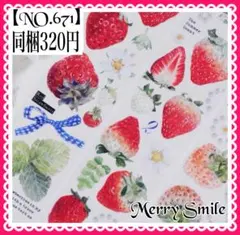 【NO.671】海外マステ PET いちご　ストロベリー　コラージュ　デコ