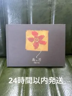 【非売品】King Gnu ねっこ FC限定 会場限定 原画集 CLUB GNU