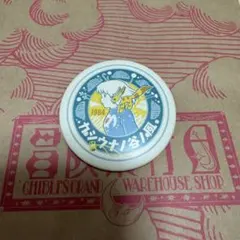 ジブリ　缶バッジ　ジブリパークとジブリ展 ✳ジブリパークとジブリ展 缶バッジ25種類✳