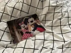 実写　ミッキー　ファイル