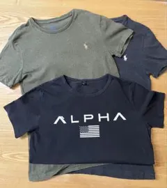 ALPHAロゴ PORO RALPH LAUREN Tシャツ 3枚セット