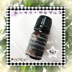 ☆プロ仕様100％天然精油ユーカリ・グロブルス☆5ml★アロマオイルのサムネイル