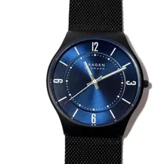 SKAGEN スカーゲン メンズ腕時計 SKW6831のサムネイル
