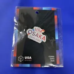 非売品 アメリカ館 万博 USA EXPO 2025 ピンバッジ - メルカリ
