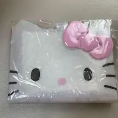 キティ　バインダー　（I Love Hello Kitty）