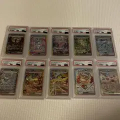 【PSA10】テラスタルフェスex ブイズ