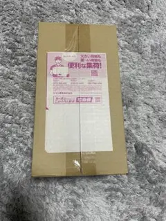 スペシャルボックス　ヒロシマ　　ポケセン産