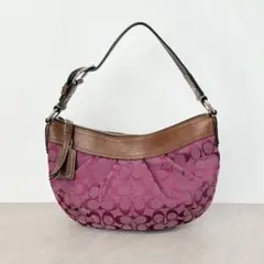 Coach Signature Soho Hobo Pleated Bag