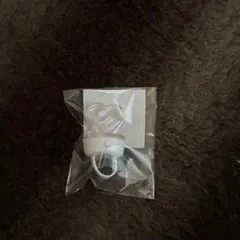 STPR リングライト　すとふぇす 3/29 アプグレグッズ