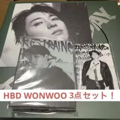 SEVENTEEN HAPPY BURSTDAY ウォヌセット