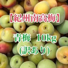 無添加かわあつ梅10kg Lサイズ白干し - メルカリ