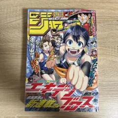 週刊少年ジャンプ 2025年7月14日号 31号 no.31 チケット付き..