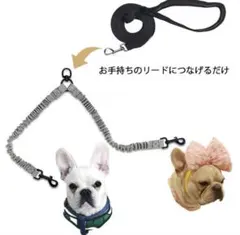 犬用 伸縮性ダブルリード 2頭引き用　多頭飼いのサムネイル