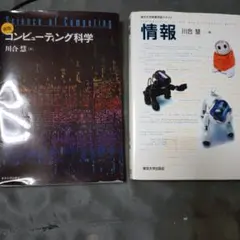 コンピュータ科学　情報 　川合慧　プログラミング　プログラム　2冊セット