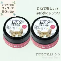 【特別価格】まさるの粘土レジン＊お得な2個セット／隠れ工房 GreenOcean