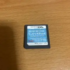 DSソフト親子で遊べるDS絵本うっかりペネロペ