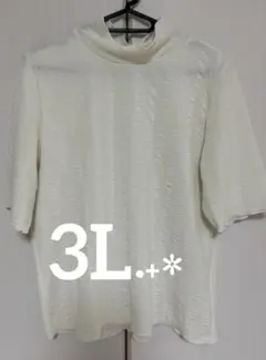 レディース ＊ モックネック ＊ トップス ＊ 大きいサイズ 3L