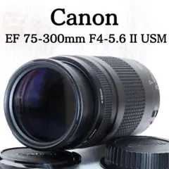 大迫力の望遠❤キャノン Canon EF 75-300mm USM❤コスパ最強 - メルカリ
