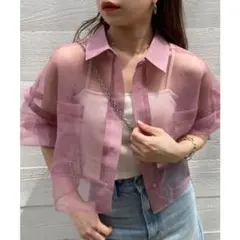 【Chico】袖取り外しショート丈シアーブロッキングSH✨️
