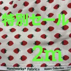 スケア生地　Handworks Fabric いちご柄