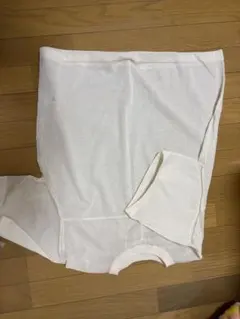 シアーTシャツ