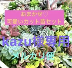 kazu様 リクエスト 2点 まとめ商品