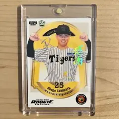 Item thumbnail for item 338478ef-1782-42f5-9ad2-aaa81e50752a