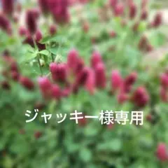【ジャッキー様専用】ブックカバー　打ち掛け　３点　文庫本サイズ