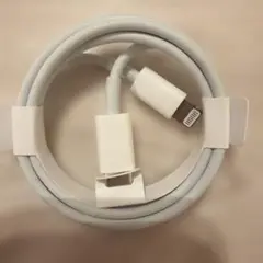 Apple純正 Lightning to Type-C ケーブル ホワイト