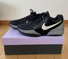 NIKE、JA2 EP、25.5センチ