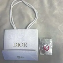 DIOR ピンバッチ