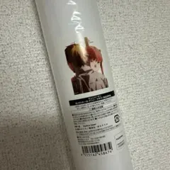 チェンソーマン B2ポスター マキマ デンジ